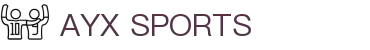 AYX·爱游戏「中国」官方网站_AYX SPORTS
