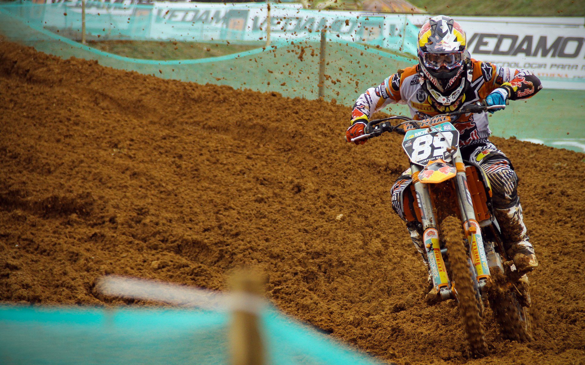 世界华人武术交流大会 套路与散打同场竞技文化味浓厚